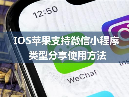 IOS苹果支持微信小程序类型分享使用方法