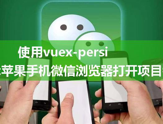 使用vuex-persist苹果手机微信浏览器打开项目链接白屏