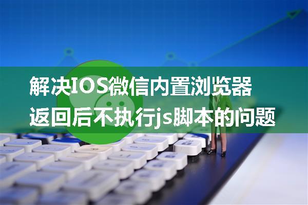 解决IOS微信内置浏览器返回后不执行js脚本的问题