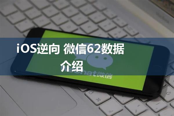 iOS逆向 微信62数据介绍