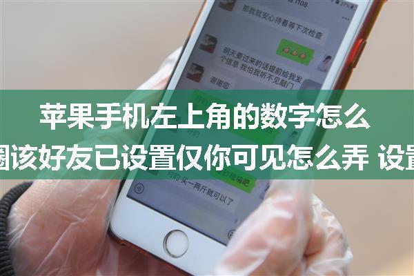 苹果手机左上角的数字怎么弄_微信朋友圈该好友已设置仅你可见怎么弄 设置仅你可见方法...