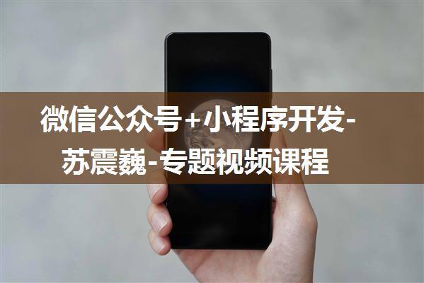 微信公众号+小程序开发-苏震巍-专题视频课程