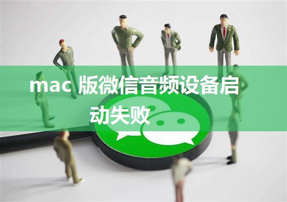 mac 版微信音频设备启动失败