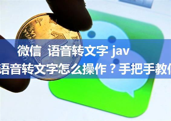 微信 语音转文字 java,微信语音转文字怎么操作？手把手教你，一秒钟搞定！