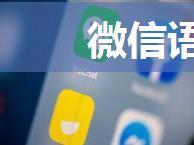 微信语音在网页上播放