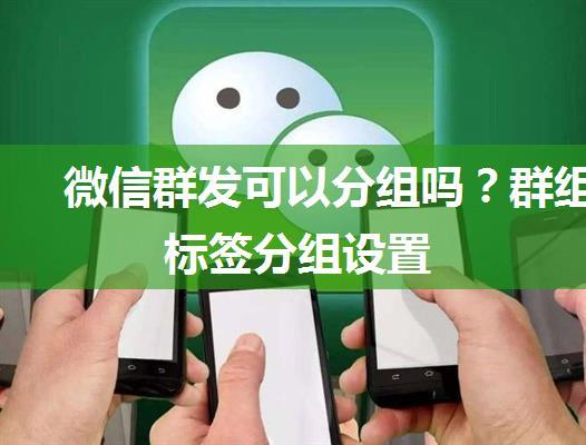 微信群发可以分组吗？群组标签分组设置