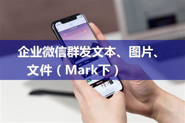 企业微信群发文本、图片、文件（Mark下）