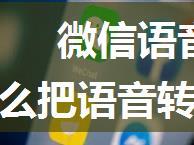 微信语音怎么转发给别人_微信怎么把语音转发给别人？看看网友怎么说？原来方法这么简单...