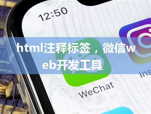 html注释标签，微信web开发工具