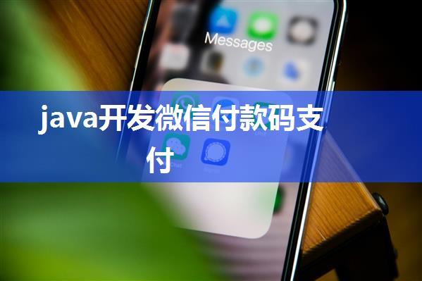 java开发微信付款码支付