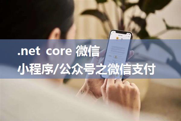 .net core 微信小程序/公众号之微信支付