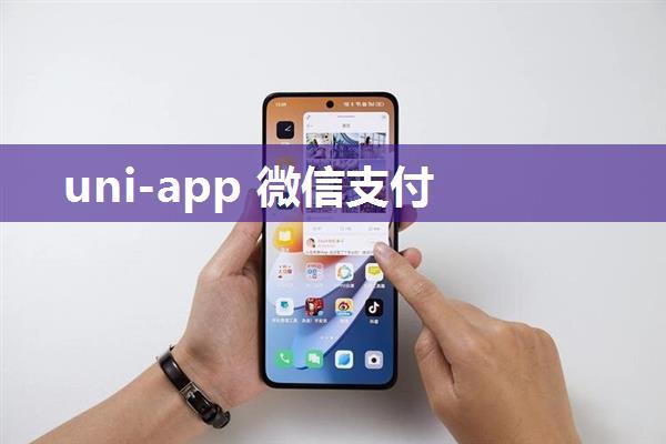 uni-app 微信支付