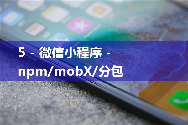 5 - 微信小程序 - npm/mobX/分包