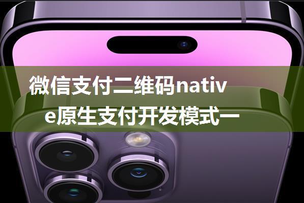 微信支付二维码native原生支付开发模式一