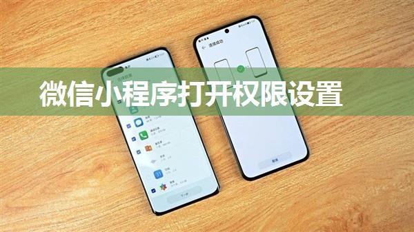 微信小程序打开权限设置
