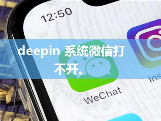 deepin 系统微信打不开。