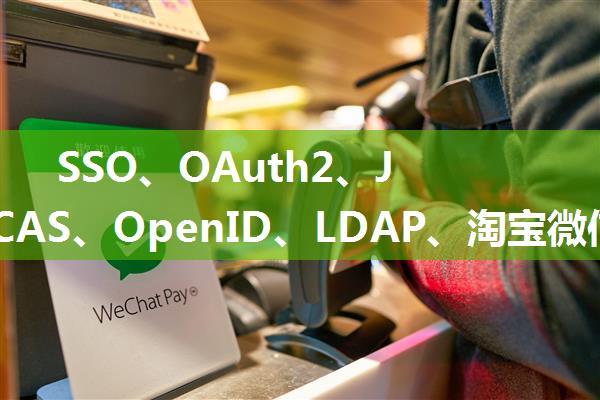 SSO、OAuth2、JWT、CAS、OpenID、LDAP、淘宝微信登录一网打尽