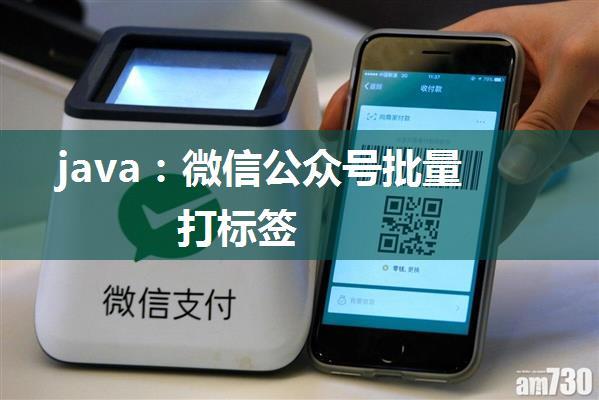 java：微信公众号批量打标签