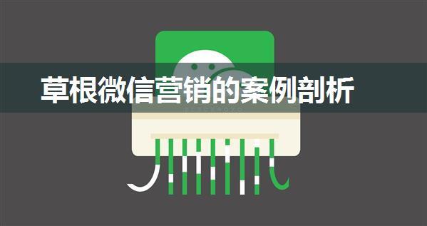 草根微信营销的案例剖析