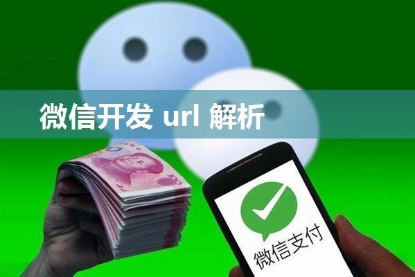 微信开发 url 解析