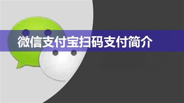 微信支付宝扫码支付简介