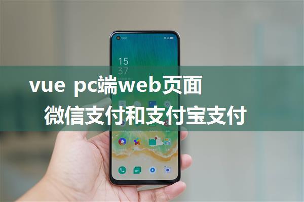 vue pc端web页面微信支付和支付宝支付