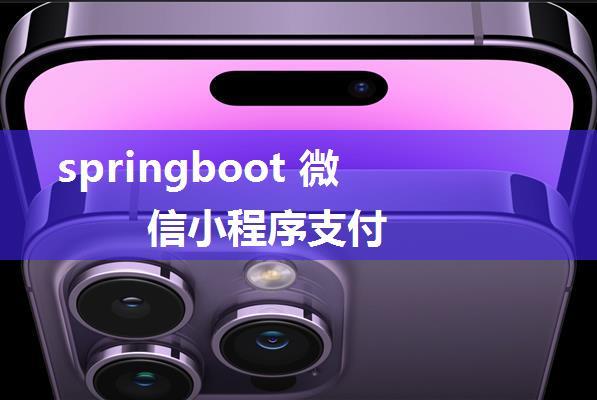 springboot 微信小程序支付