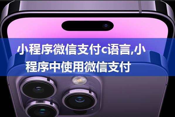 小程序微信支付c语言,小程序中使用微信支付