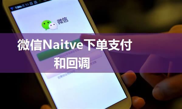 微信Naitve下单支付和回调