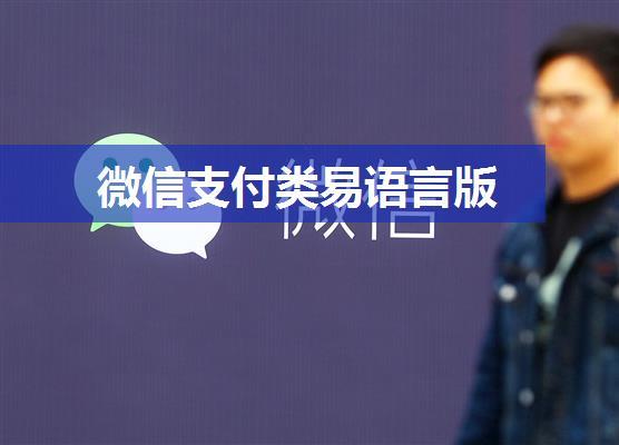 微信支付类易语言版