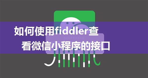 如何使用fiddler查看微信小程序的接口