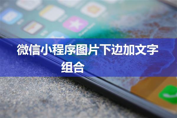 微信小程序图片下边加文字组合