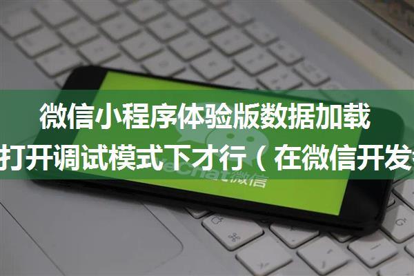 微信小程序体验版数据加载不了，打开调试模式下才行（在微信开发者工具上也能加载数据）