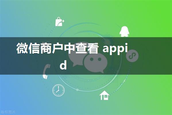 微信商户中查看 appid