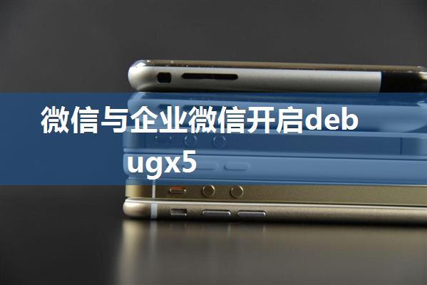 微信与企业微信开启debugx5