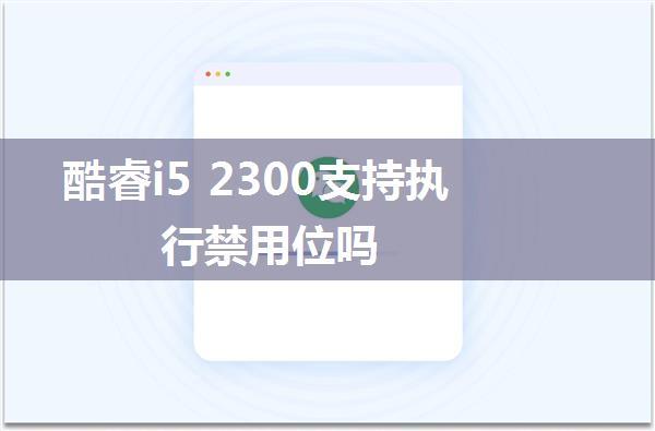 酷睿i5 2300支持执行禁用位吗