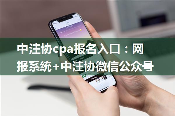 中注协cpa报名入口：网报系统+中注协微信公众号