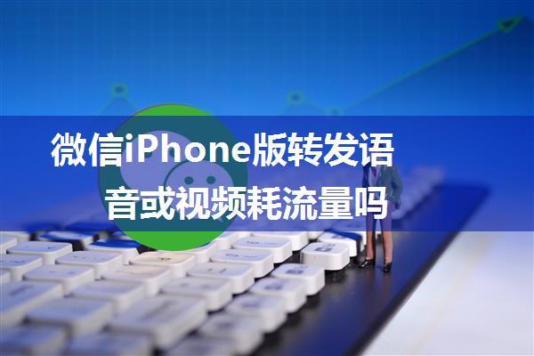 微信iPhone版转发语音或视频耗流量吗