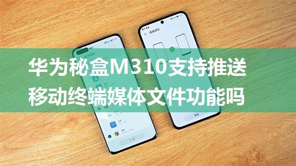 华为秘盒M310支持推送移动终端媒体文件功能吗