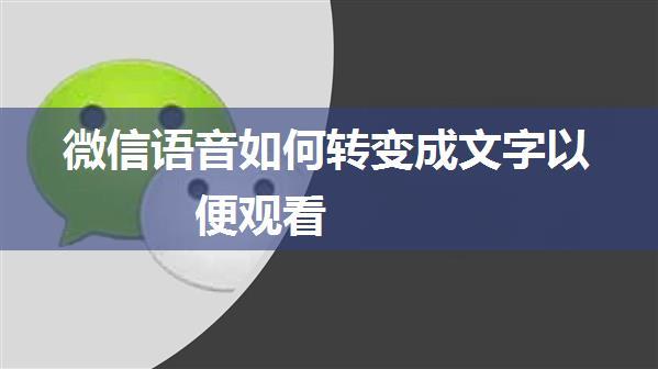 微信语音如何转变成文字以便观看