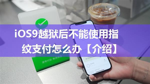 iOS9越狱后不能使用指纹支付怎么办【介绍】