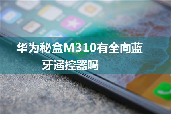 华为秘盒M310有全向蓝牙遥控器吗