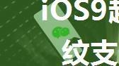 iOS9越狱后不能使用指纹支付怎么办【介绍】