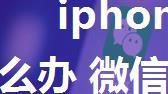 iphonex微信收不到消息怎么办 微信接收信息失败解决方法【详细介绍】