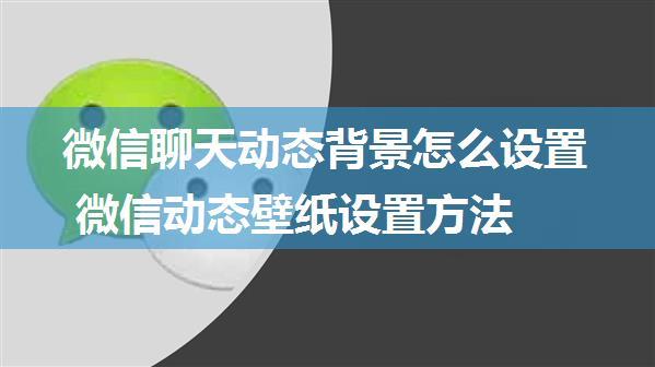 微信聊天动态背景怎么设置 微信动态壁纸设置方法