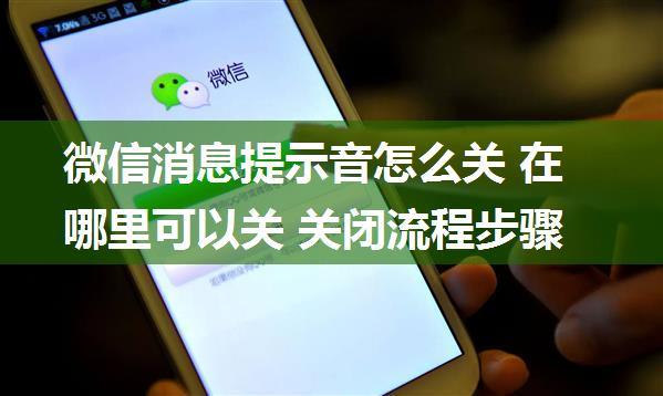 微信消息提示音怎么关 在哪里可以关 关闭流程步骤