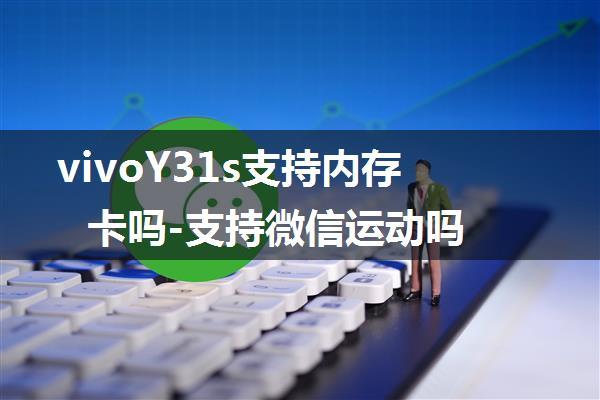 vivoY31s支持内存卡吗-支持微信运动吗