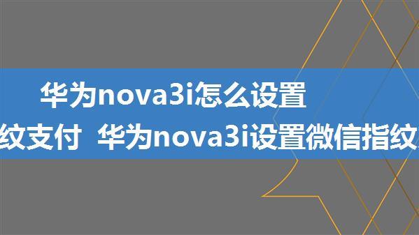 华为nova3i怎么设置微信指纹支付 华为nova3i设置微信指纹支付方法【操作步骤】