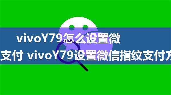 vivoY79怎么设置微信指纹支付 vivoY79设置微信指纹支付方法【详解】