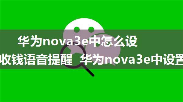 华为nova3e中怎么设置微信收钱语音提醒 华为nova3e中设置微信收钱语音提醒的教程【详解】